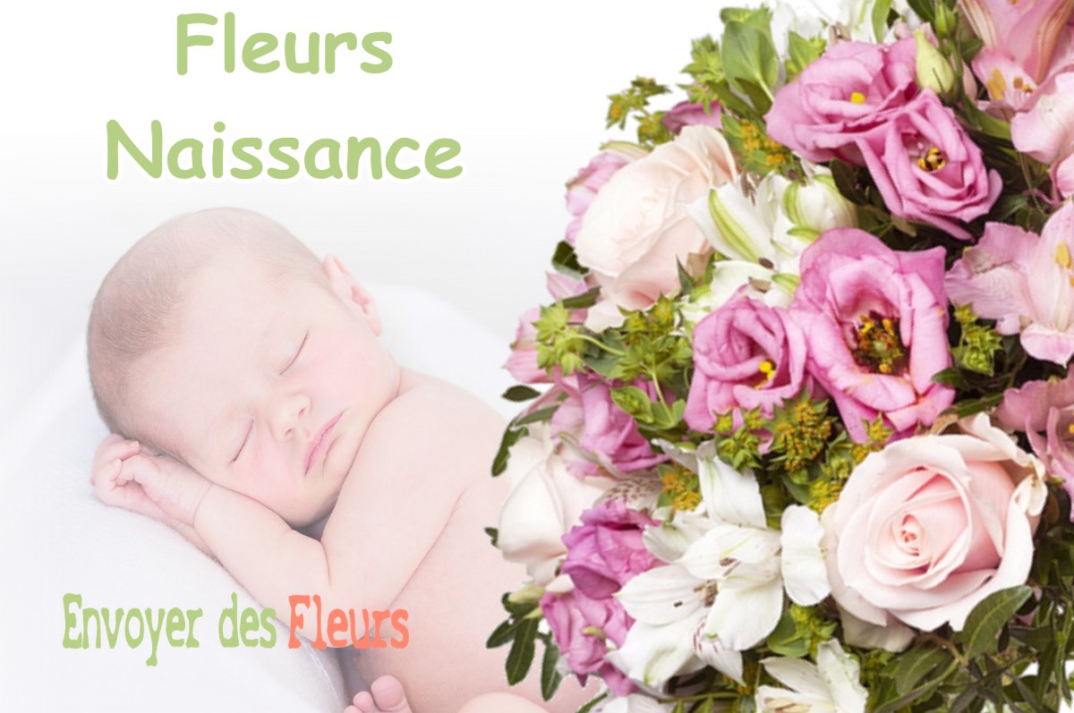 lIVRAISON FLEURS NAISSANCE à BAR-LE-DUC